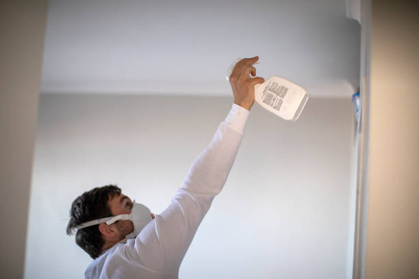 Best Certified Mold Removal  in Umatilla, OR
